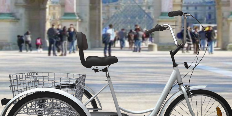 Adult-Sized Infant Trikes