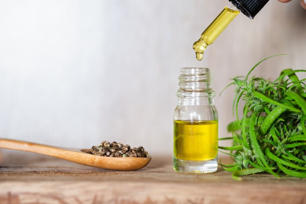 hhc oil 